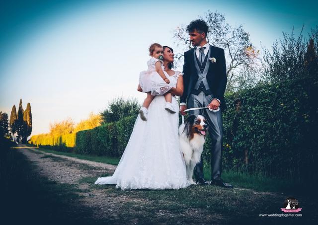 Wedding Dog Sitter - Alessio Faggi - 1