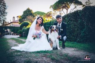 Wedding Dog Sitter - Alessio Faggi - 7