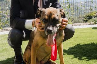 Alice Bensi Photography - 12