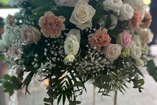 Colombo Fiori & Piante - 15