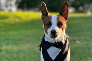 Asia's Friends Doggy Events - 9