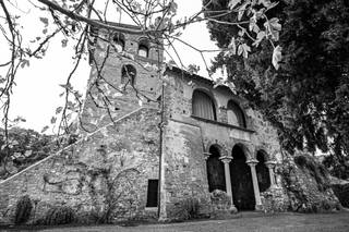 Catino Foto Srl - 8