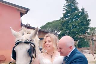 Agriturismo Al Capitellon - 8