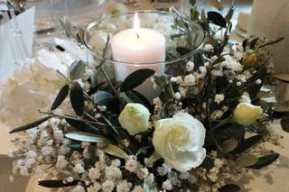 Aromi & Natura Continua - 12