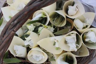 Il Giardino Segreto - 8