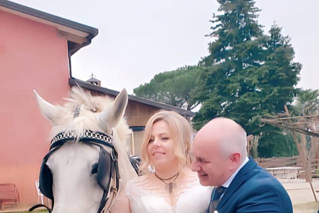Agriturismo Al Capitellon 1
