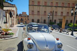 Ernesto Cars - 5