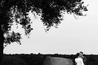 Virsta Production - 6