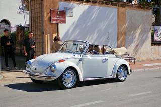 Ernesto Cars - 6
