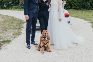 Oh my dog wedding - 16