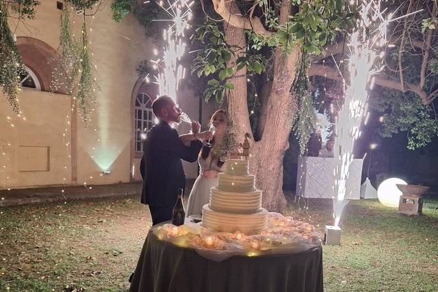 Lady Cake di Paola Mattonai 2