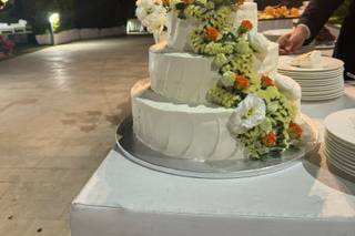 Maiolgae Eventi - 11