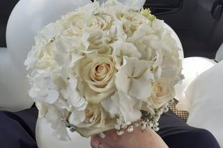 Il Giardino di Fabia - 9