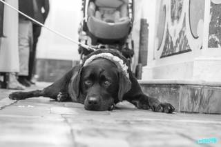 Di Rosa Floral Designer - 20