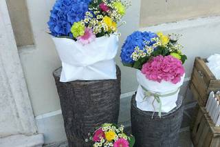 Sala Fiori e Piante - 21