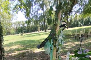 Handfasting - 5