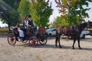 Agriturismo Al Capitellon - 13