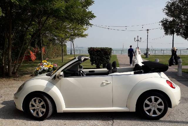 Ivan New Beetle 2