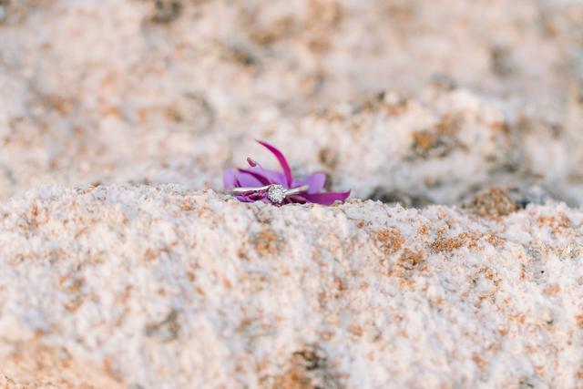 Velluto Photography - 1
