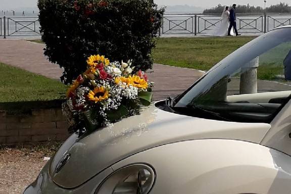 Ivan New Beetle 3