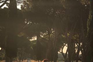 Angela Bartolomeo Wedding planner & designer - 7