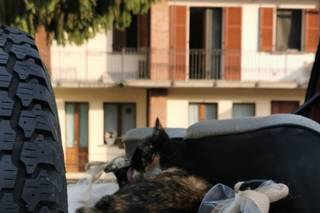 Agriturismo Cascina Baracca - 18