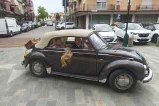 ABCars - 6