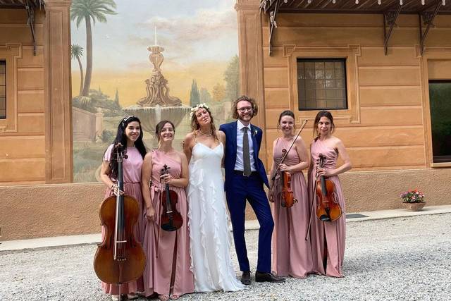 Archidee Strings 3