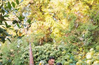 Sara D'Ambra Photography - 7