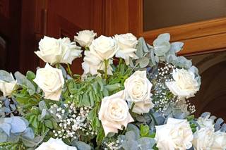 Nido dei Fiori - 5