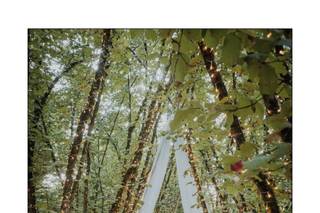 Milco Graziani Wedding Photography - 10