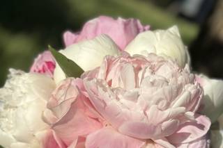 Il giardino delle meraviglie - 16