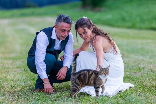 Daniele Torchia Storyteller - 4