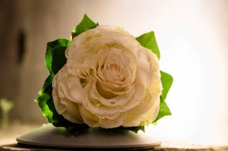 Daniel Laboratorio Floreale - 11