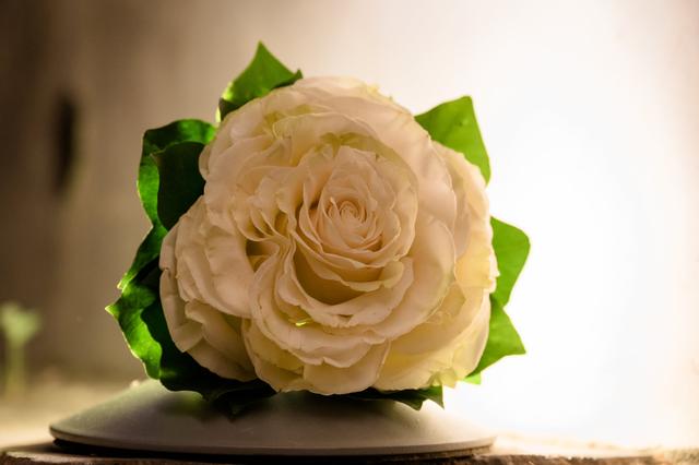 Daniel Laboratorio Floreale - 4