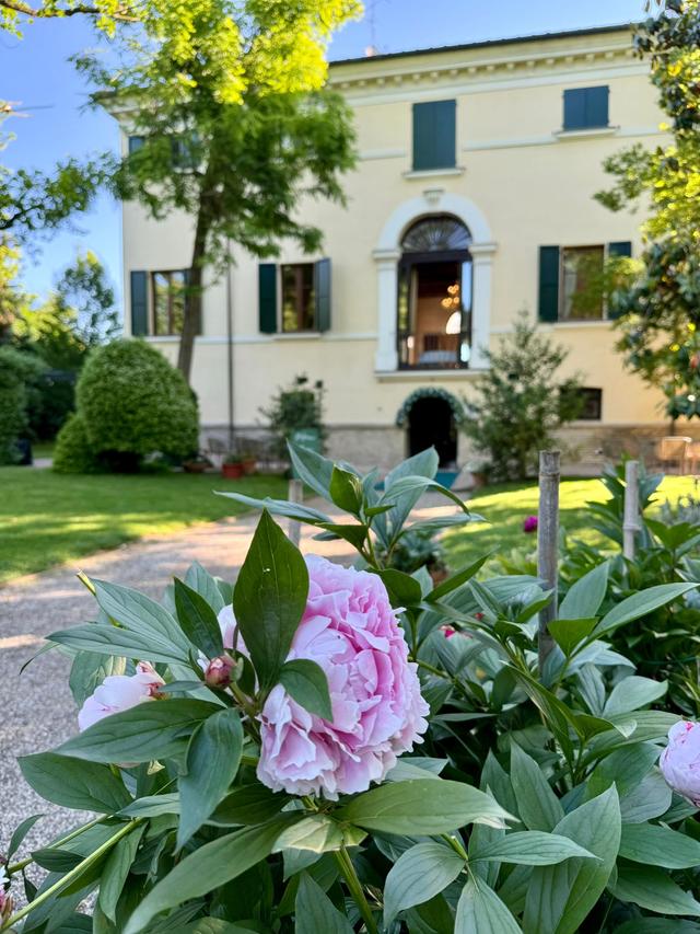 Villa Rota - 2