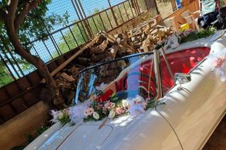 Romeo & Giulietta auto d'epoca - 12