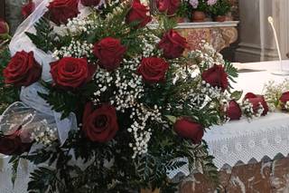 Piante e Fiori di Astolfi Italia - 16