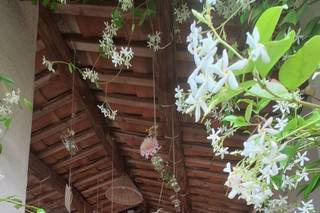 Tenuta Armonia - 6