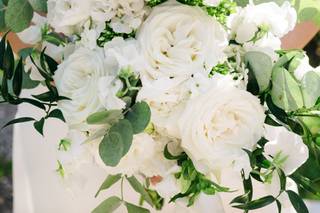 Piante e Fiori Valsecchi - 29