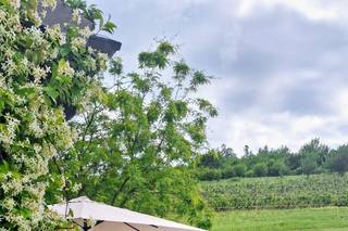Tenuta Armonia - 7