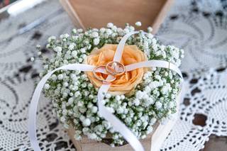 Valentina Flower Designer - 5