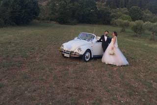 Dream Cars - 6