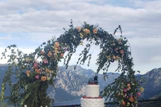 Piante e Fiori Valsecchi - 26