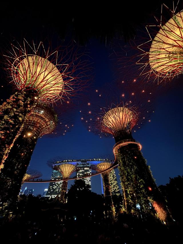 Marco Senatore Viaggi - 2