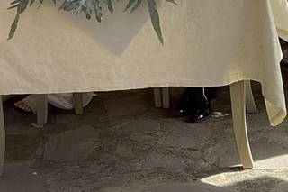 The Flower di Scanu Veronica - 23