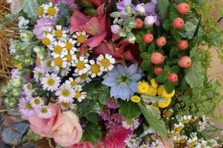 Aroa's Flowers - 8