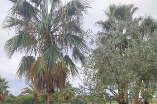 Agriturismo San Gallo - 10