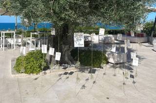 Le Gioie di Cam - 14