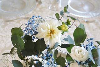 Fiori di Franca - 16